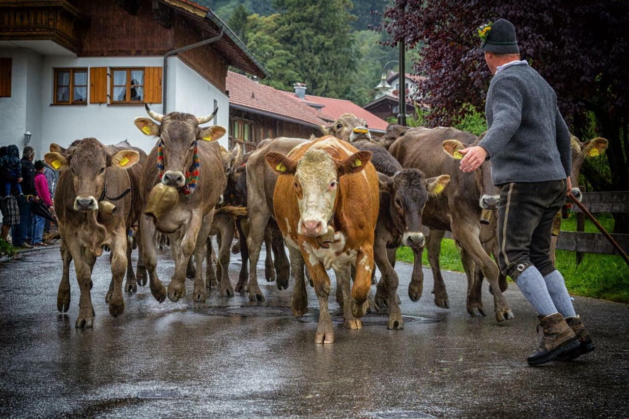 Ferienwohnung Zobl Füssen المظهر الخارجي الصورة